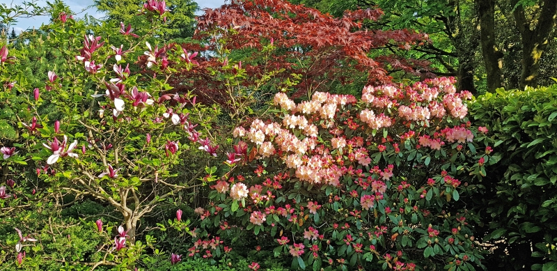 Warley House Garden